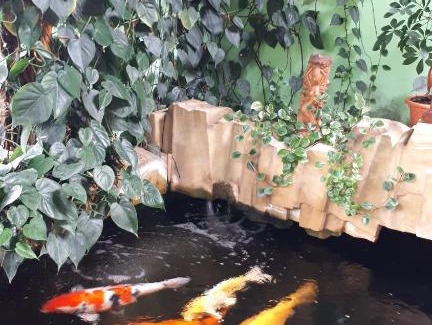 Veltrusy Apartment | Apartmán KOI