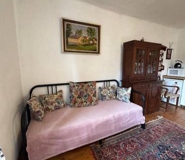 Strakonice District Apartment | Apartmán Malá Turná