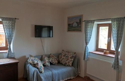Strakonice District Apartment | Apartmán Malá Turná