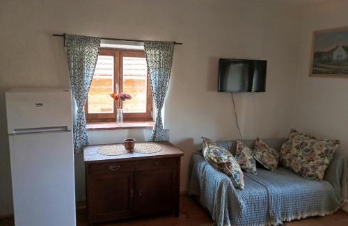 Strakonice District Apartment | Apartmán Malá Turná