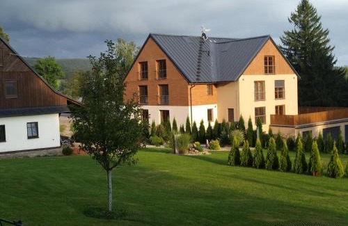 Ricky v Orlickych horach Apartment | Apartmán Nad terasou