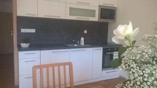 Ricky v Orlickych horach Apartment | Apartmán Nad terasou