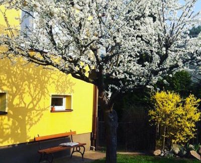 Nachod Apartment | Apartmán Novákovi