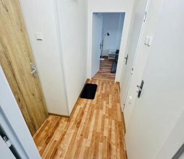 Ostrov Apartment | Apartmán pro 4 osoby ve městě Ostrov nad Ohří