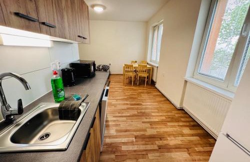 Ostrov Apartment | Apartmán pro 4 osoby ve městě Ostrov nad Ohří