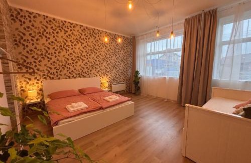 Konice Apartment | Apartmán Spinačka