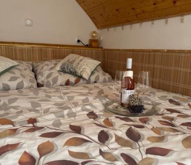 Jesenik Apartment | Apartmán u Ještěrky se saunou v ceně, Rejvízská 29, Jeseník