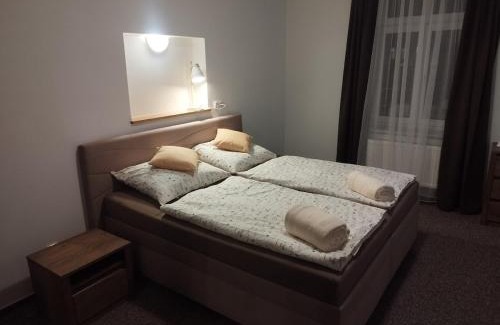Lipova-Lazne Apartment | Apartmán u lázní