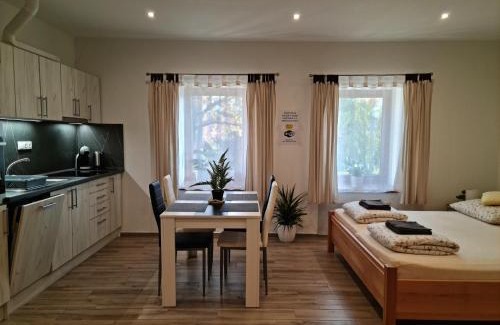 Dvur Kralove nad Labem Apartment | Apartmány Žireč