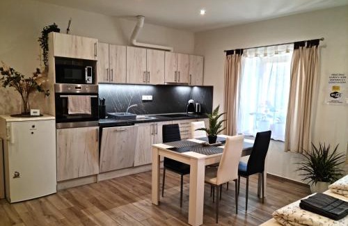 Dvur Kralove nad Labem Apartment | Apartmány Žireč