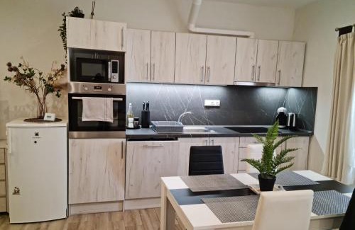 Dvur Kralove nad Labem Apartment | Apartmány Žireč