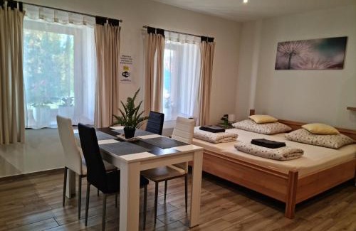 Dvur Kralove nad Labem Apartment | Apartmány Žireč