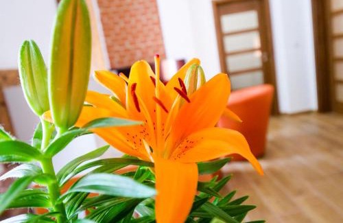 Sec Apartment | Apartmány 13 Přízemí 1