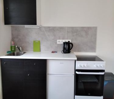 Dalovice Apartment | Apartmány Borská