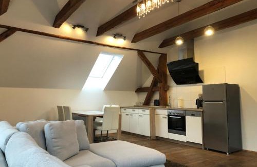 Bor u Tachova Apartment | Apartmány Kosov 1