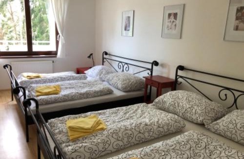 Lipno nad Vltavou Apartment | Apartmány Lipno Bouček