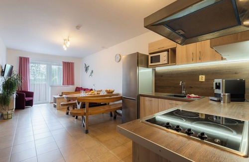 Karlovy Dvory Apartment | Apartmány Nad Rybníky