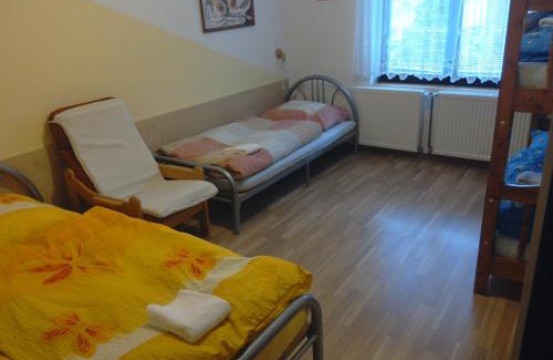 Orlicky Apartment | Apartmány pod Suchým Vrchem