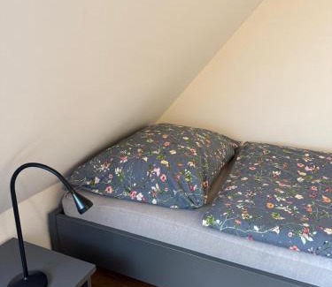 Ruzova Apartment | Apartmány Růžová