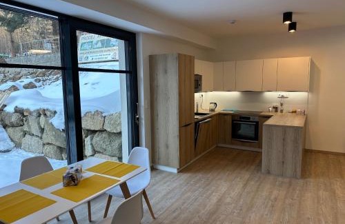 Bedrichov Apartment | Apartmány U Buku