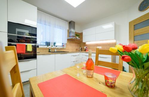 Plana nad Luznici Apartment | Apartmány Volavka 1