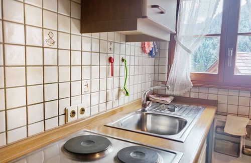 Bad Rippoldsau-Schapbach Apartment | Apartment 'Waldblick, 50 Qm' with Shared Garden, Balcony and Wi-Fi