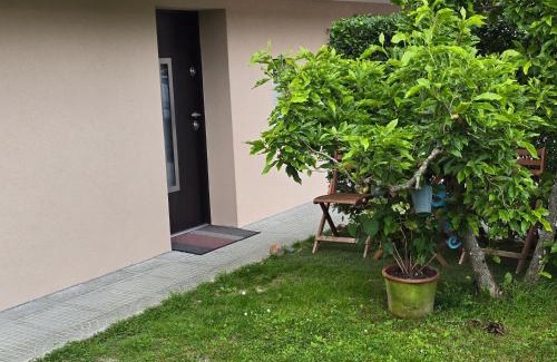 Trzic Apartment | Apartma Liza