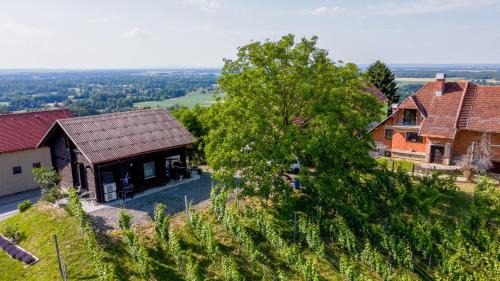 Ljutomer Apartment | Apartma med vinogradi