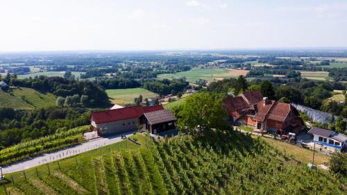 Ljutomer Apartment | Apartma med vinogradi