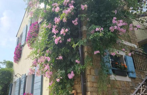 Izola Apartment | Apartma Nemo