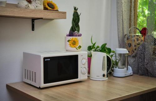 Brda Apartment | Apartma Pic Ros