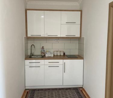 Vrnjacka Banja Apartment | Apartman AS