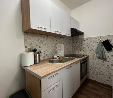 Lic Apartment | Apartman Crljenko