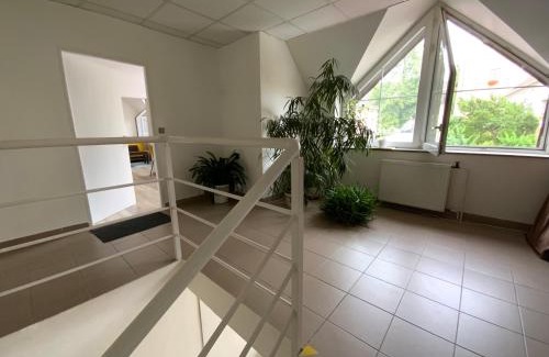 Rajec-Jestrebi Apartment | Apartman Discoveryou