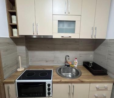 Gornja Toplica Apartment | Apartman Ilić