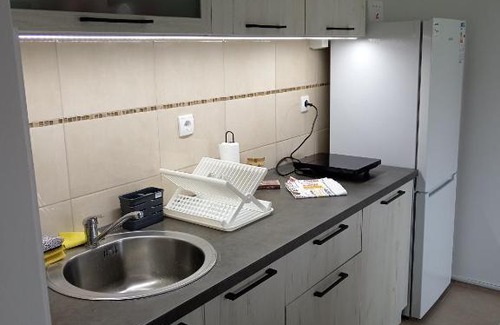 Gornja Toplica Apartment | Apartman Tamara