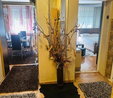 Valjevo Apartment | Apartman Valjevo DK