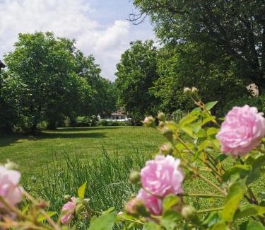 Vrdnik Apartment | Apartmani La Grande Motte