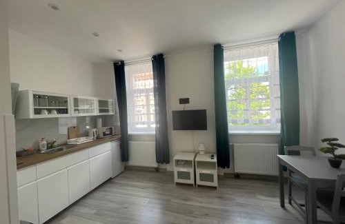Golcuv Jenikov Apartment | Apartmant cheb