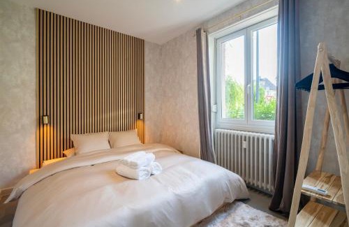 Selestat Apartment | Apartment 2 Bedrooms & Terrace - Fully Air-Conditioned - King Size Beds