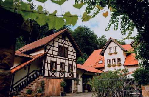 Klingenmuenster Apartment | Apartment 2 - weekly package - Weingut-Gästehaus Porzelt