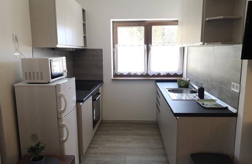 Assachberg Apartment | apartment 3 - 2 bedrooms, shower, toilet - snow crystal