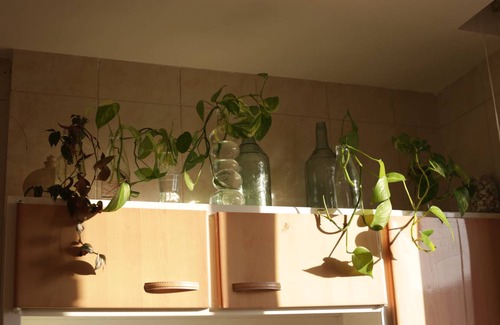 Darcheh Apartment | Apartment ∙ 4 guests