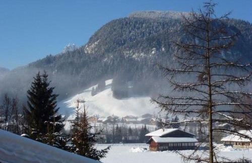 Saanen Apartment | Apartment Chez-Nous by Interhome