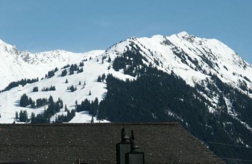 Saanen Apartment | Apartment Chez-Nous by Interhome
