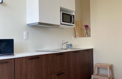 Clermont Ferrand City Centre Apartment | Apartment Cosy Clermont Centre, Pet friendly !