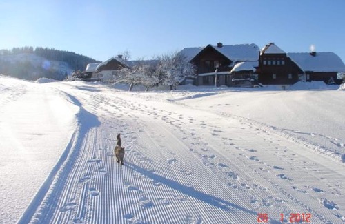 Gossenberg Apartment | Apartment Dachstein - 3 bedrooms, bathroom, WC - Hirzhof