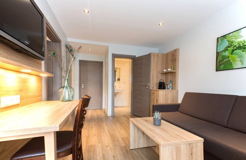 Haslach im Kinzigtal Apartment | Apartment 1 with Balcony and Wi-Fi