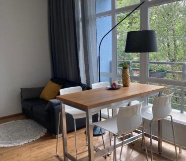 Purvciems Apartment | Apartment Dzelzavas 19/3