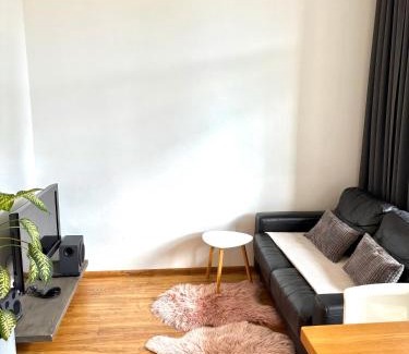 Purvciems Apartment | Apartment Dzelzavas 19/3